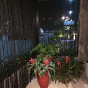 Deck do Porto CASACOR ES 2017