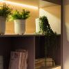1ª MOSTRA STUDIO CONCEITUAL 2017